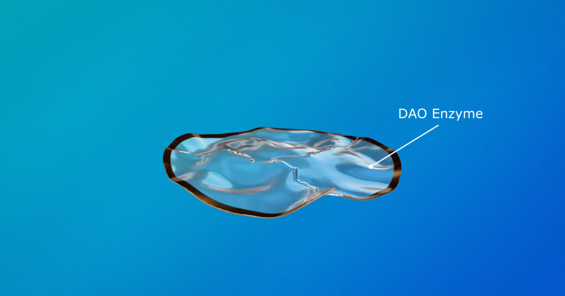 Illustration of a transparent capsule labeled “DAO Enzyme” on a blue background, highlighting the presence of the Diamine Oxidase enzyme used to support histamine breakdown in the body.