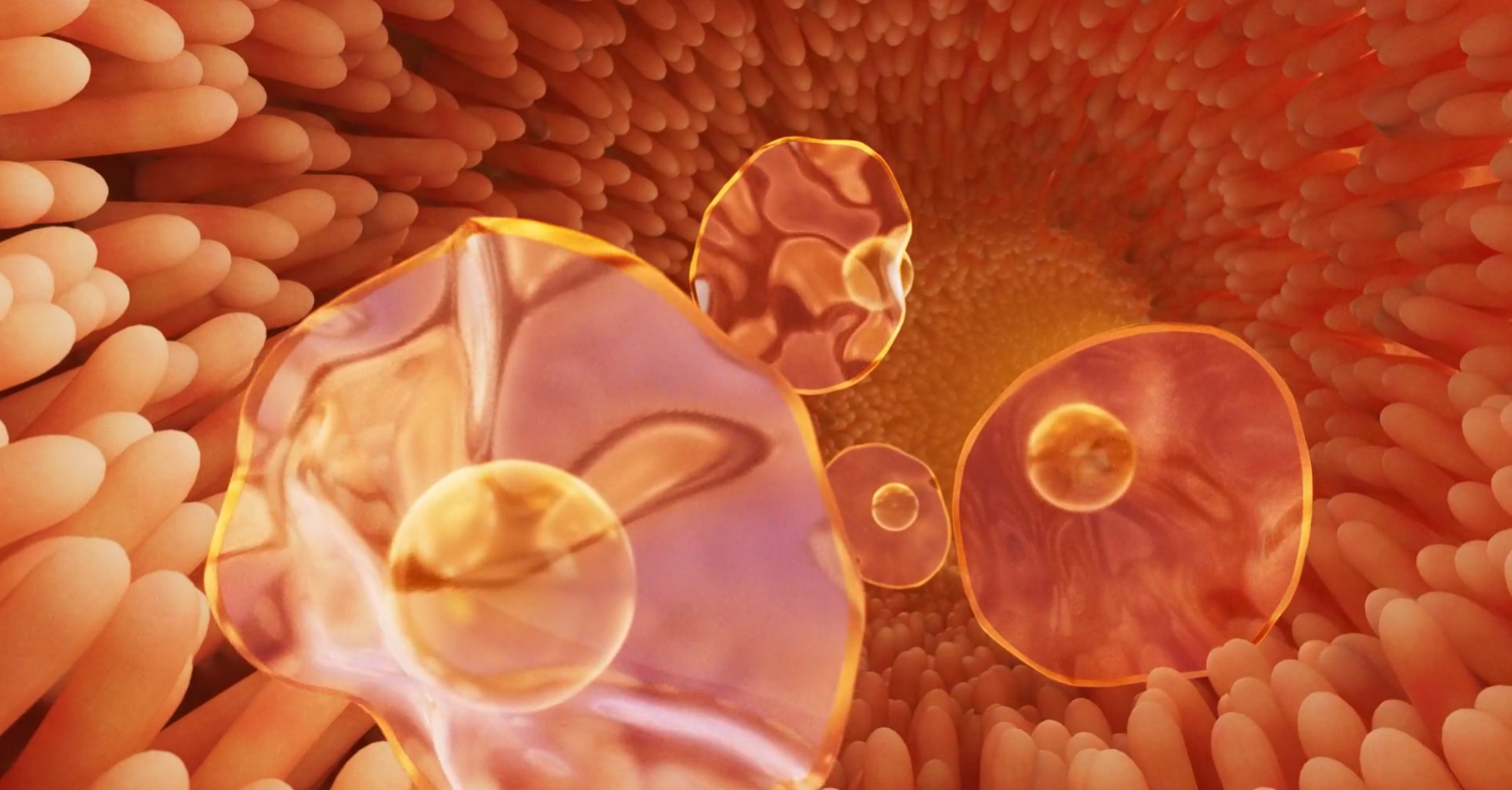 Illustration of DAO microcapsules traveling through the intestinal lining, shown in a close-up 3D view highlighting their protective layers and active enzyme core for targeted digestive support.