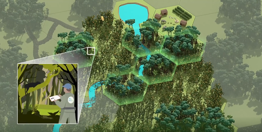 Bird’s-eye view of a forest landscape with a zoom-in showing a conservationist studying a tree, emphasizing forest monitoring, biodiversity protection, and sustainable land management practices.