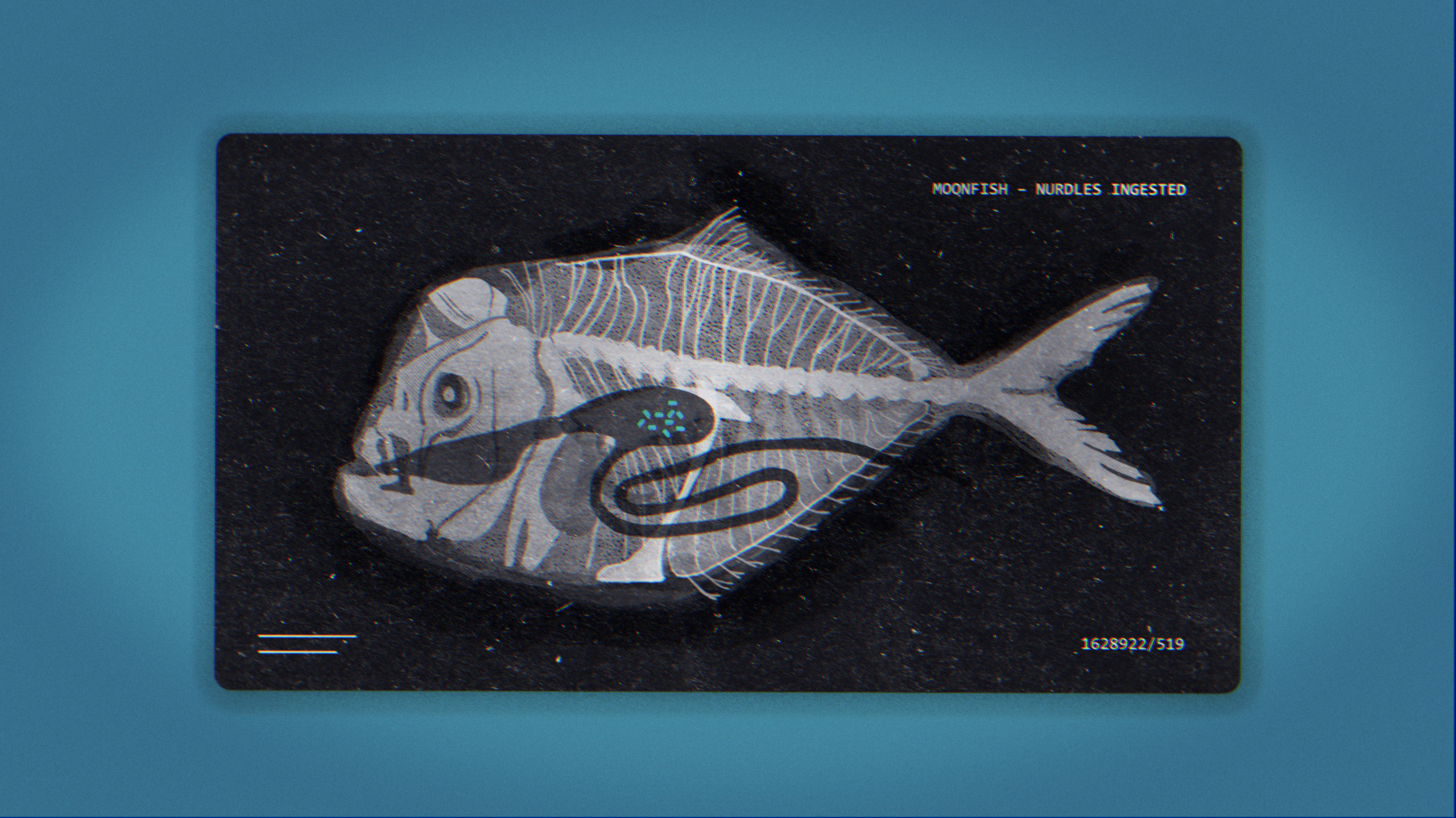 An x-ray illustration of a moonfish reveals ingested nurdles. Tiny plastic pellets highlighting the impact of marine plastic pollution on ocean wildlife.