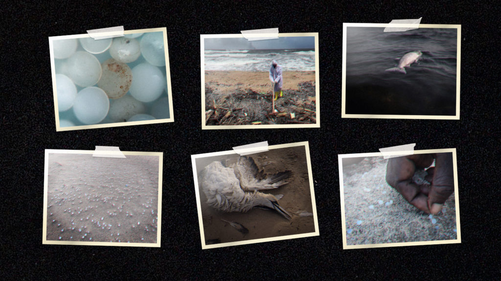 A collage of six taped polaroid photos shows plastic nurdles, polluted beaches, dead marine animals, and a person collecting pellets, illustrating the environmental impact of plastic pollution on wildlife.
