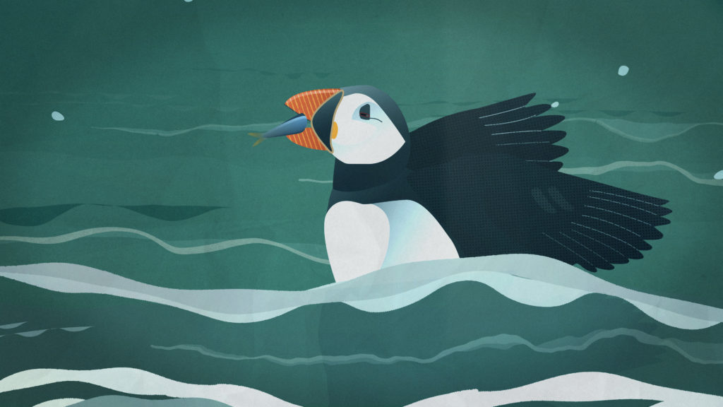 An illustrated puffin floats in green ocean waves with wings outstretched, holding a small fish in its beak, symbolizing marine wildlife in its natural habitat.