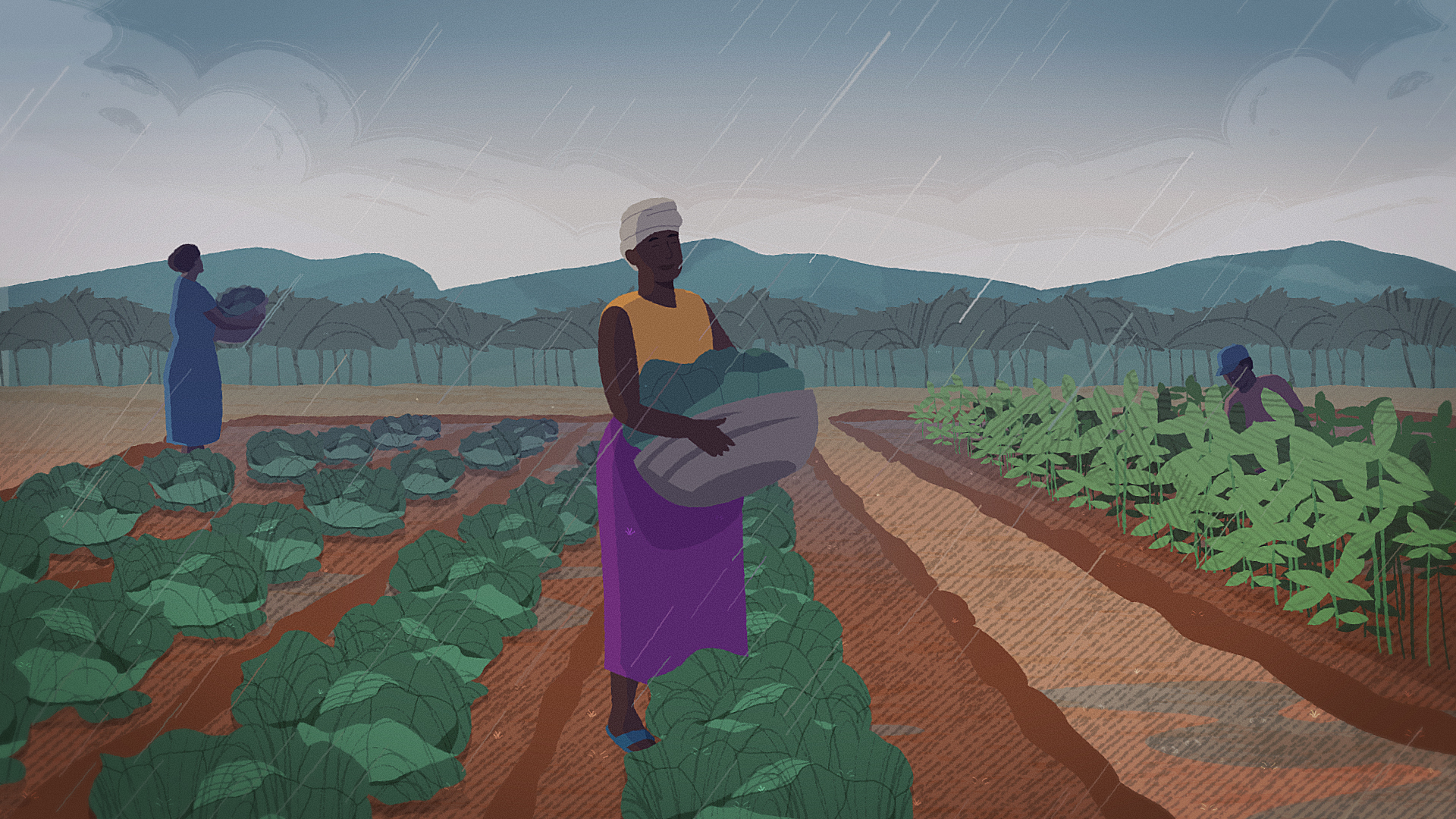 Illustration of women harvesting crops in a green field under rainfall, with mountains and trees in the background, symbolizing agricultural resilience and climate challenges.