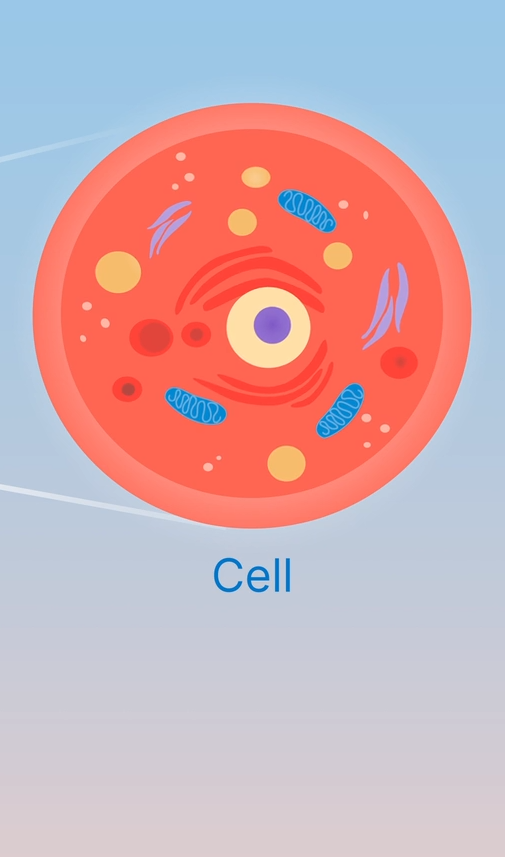 Illustration showing a human hand with a magnified view of a single biological cell, highlighting cell structures against a blue gradient background.