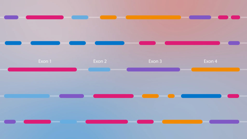Illustration of exon sequencing patterns showing four labeled exons in various colors and arrangements, visualizing alternative splicing on a soft gradient background.