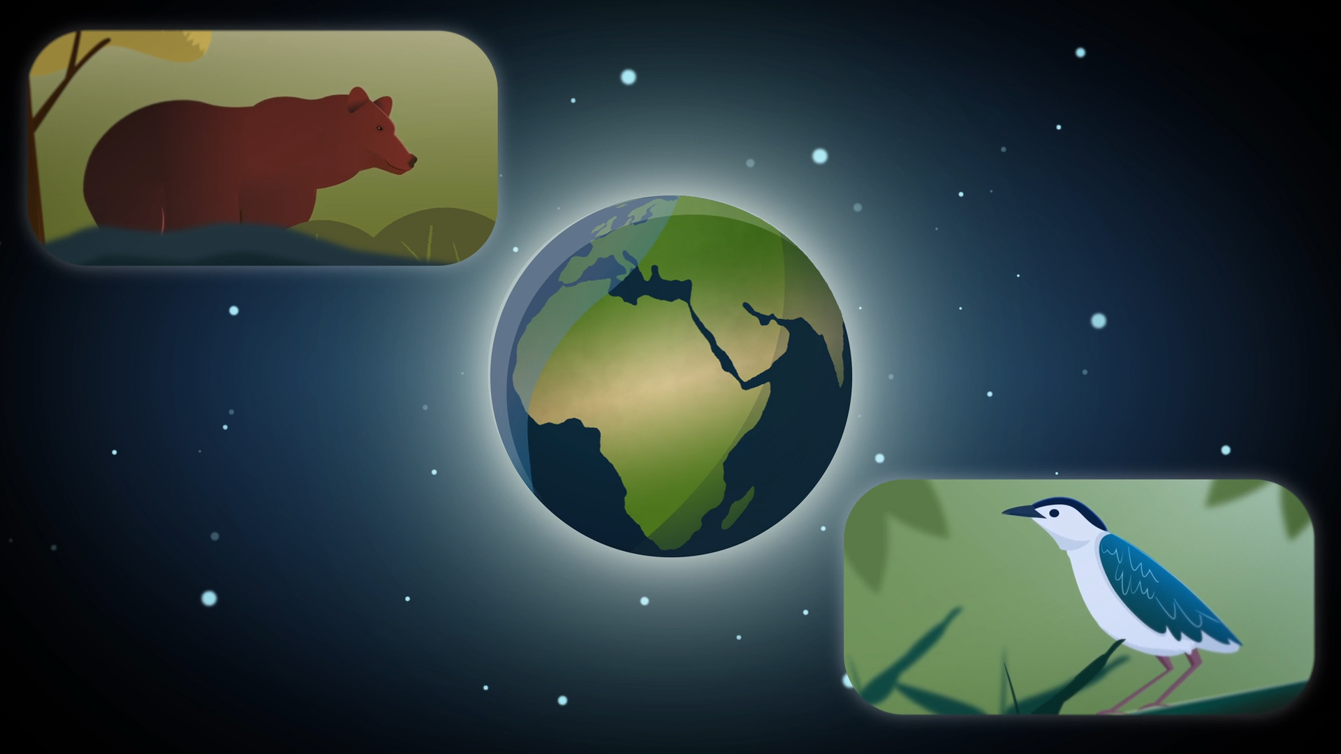 Illustration of Earth in space with a bear and bird in surrounding panels, representing global biodiversity and the interconnectedness of wildlife across continents.