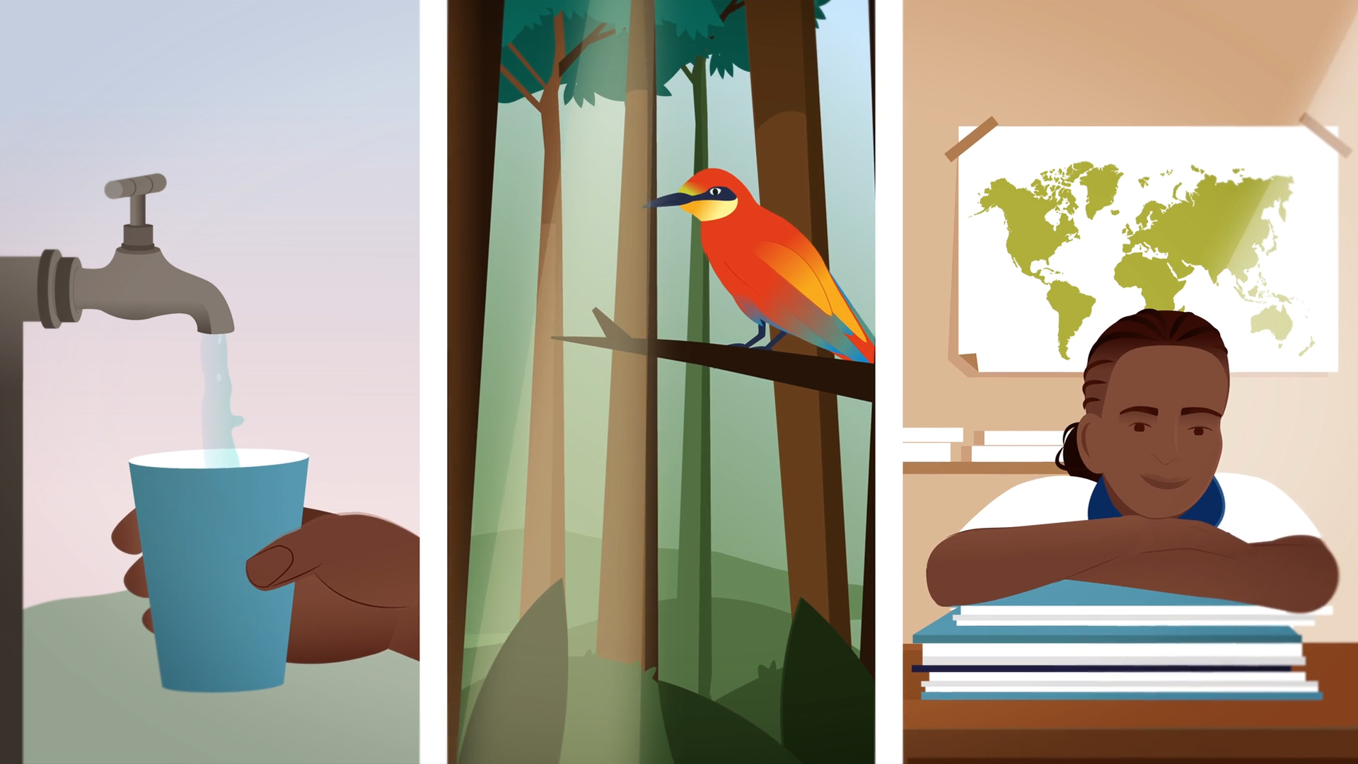 Split-screen illustration showing water pouring into a cup, a vibrant bird perched in a forest, and a smiling child in a classroom with a map and stack of books.