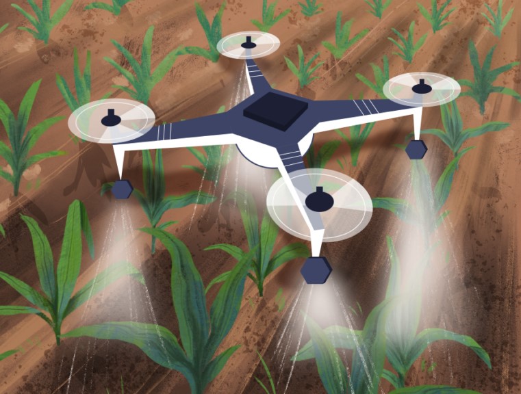Illustration of a drone spraying water or chemicals over rows of young green crops in a field, showcasing modern agricultural technology in a precision farming environment.