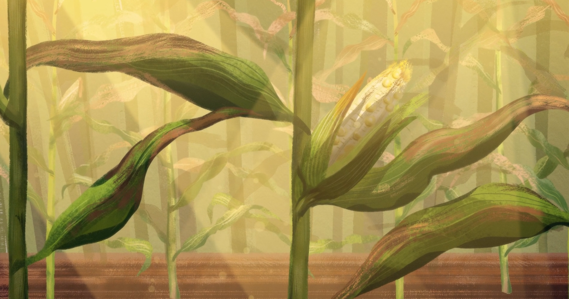 Illustration of a cornfield with tall green stalks and an ear of corn partially husked, revealing kernels, under soft sunlight with a focus on rich soil and dense foliage.
