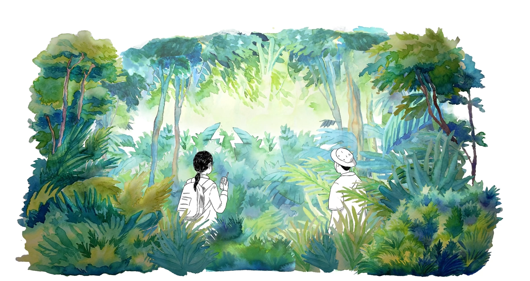 Watercolor-style illustration of two people exploring a lush, green forest, symbolizing conservation fieldwork, biodiversity research, and the immersive experience of studying tropical ecosystems.