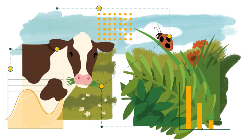 Illustration of a cow grazing in a field next to plants and flowers, with data charts and graphs integrated into the scene, and a ladybird perched on a blade of grass.