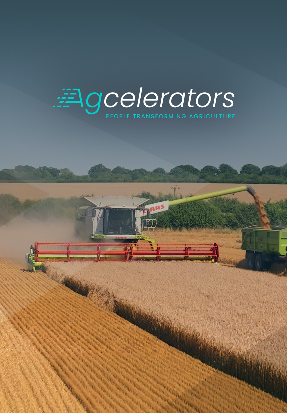 Combine harvester offloading grain into a tractor trailer while harvesting a golden wheat field on a sunny day, showcasing modern agricultural machinery in action.