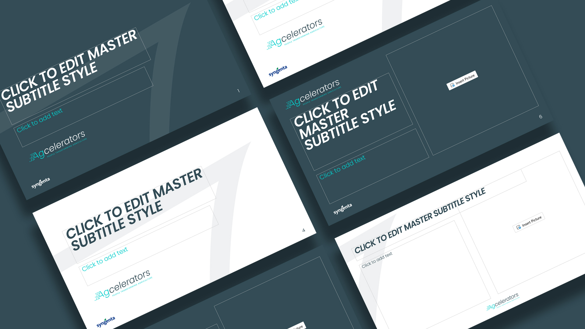 ChatGPT said: Agcelerators PowerPoint templates with dark and light slide variations, featuring placeholder text and the Syngenta logo, designed for agricultural innovation presentations.