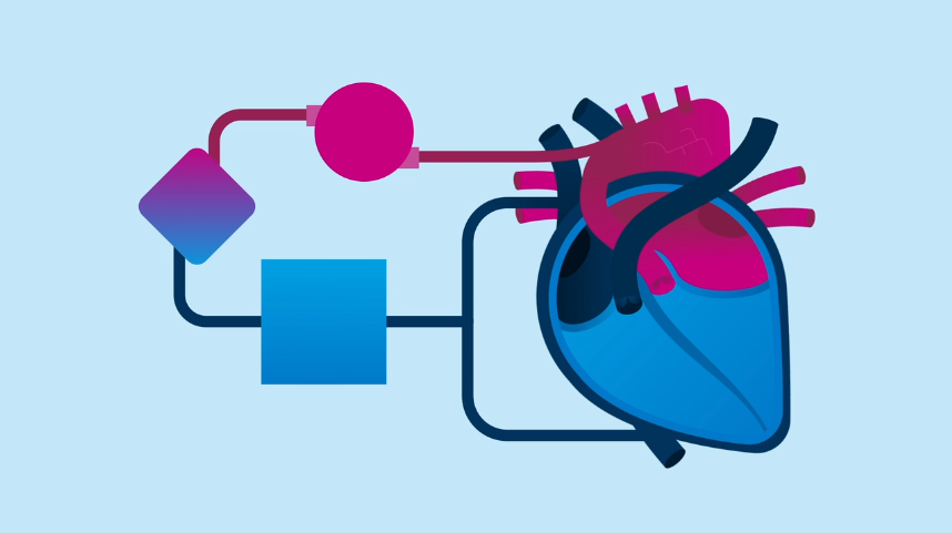 Illustrated diagram of a heart with connecting tubes and shapes, representing circulatory monitoring or diagnostic