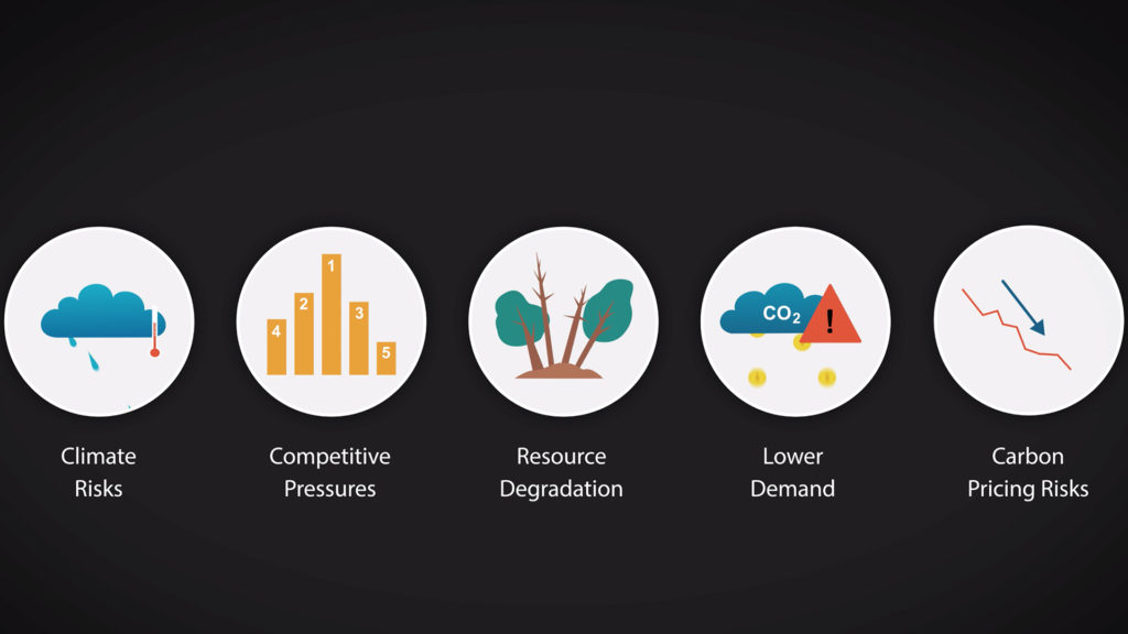 Illustration showing five circular icons representing climate risks, competitive pressures, resource degradation, lower demand, and carbon pricing risks, related to environmental and economic sustainability challenges.