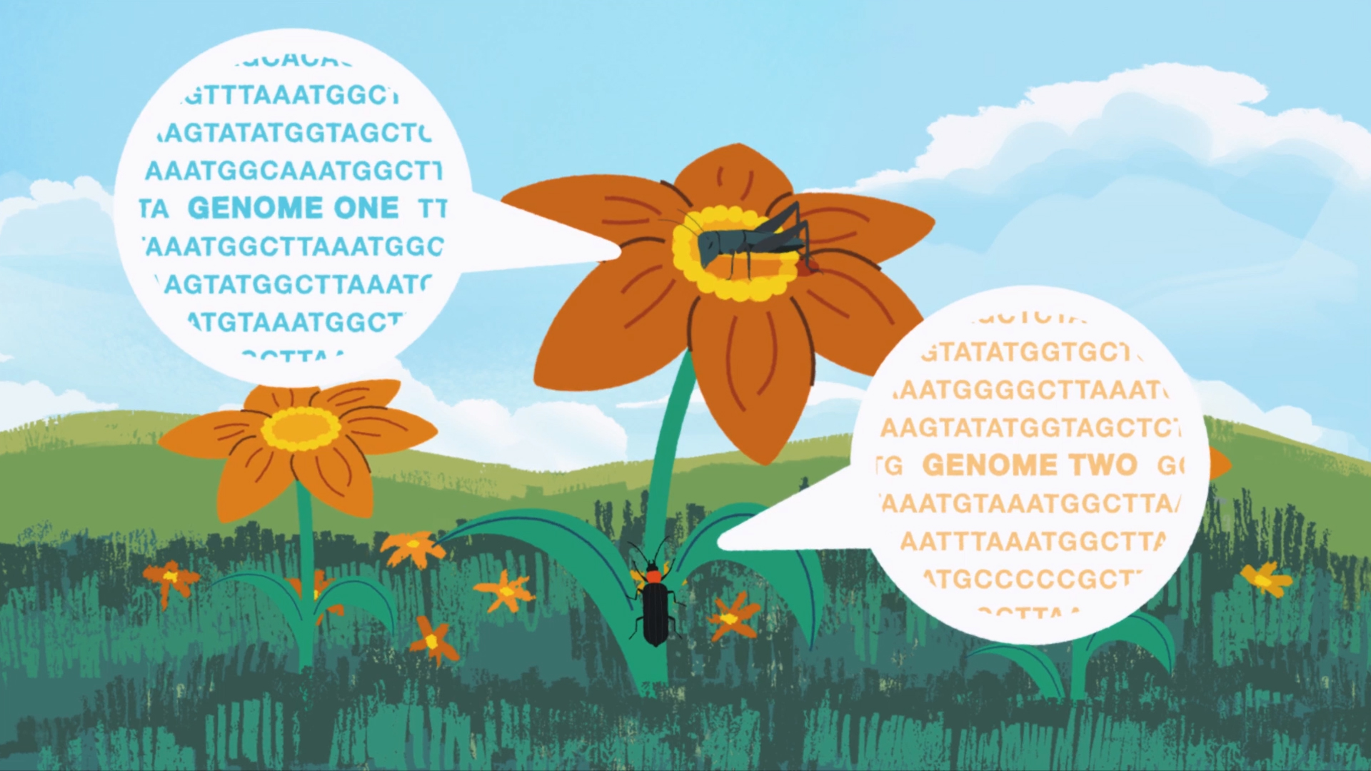 Illustration of insects on orange flowers with speech bubbles showing genetic code labeled "Genome One" and "Genome Two," symbolizing RNA-based communication or biocontrol in nature.