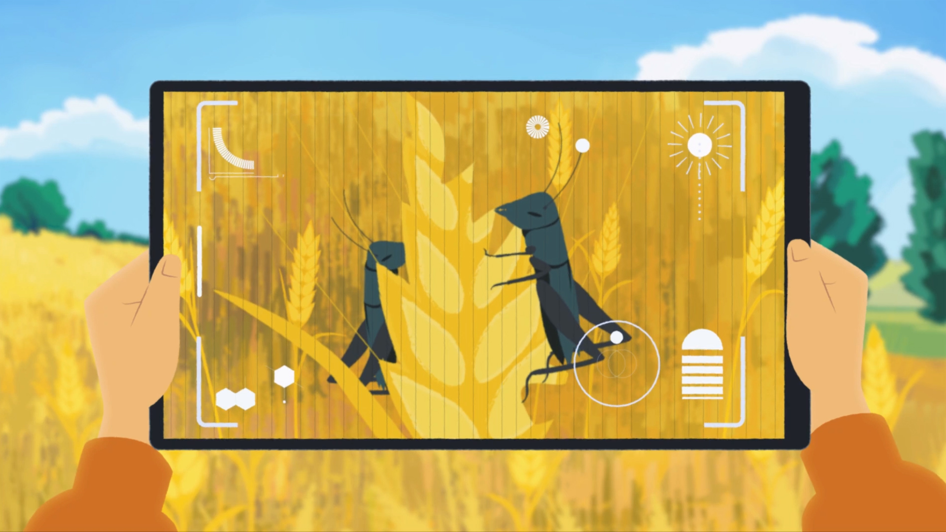 A person uses a tablet to observe two insects on wheat stalks in a golden field, highlighting agricultural monitoring through digital technology.