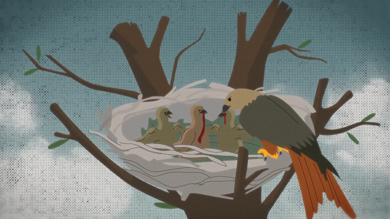 An illustration of a red kite feeding chicks in a nest, each chick receiving food with visible red accents, all set against a blue sky and surrounded by tree branches.