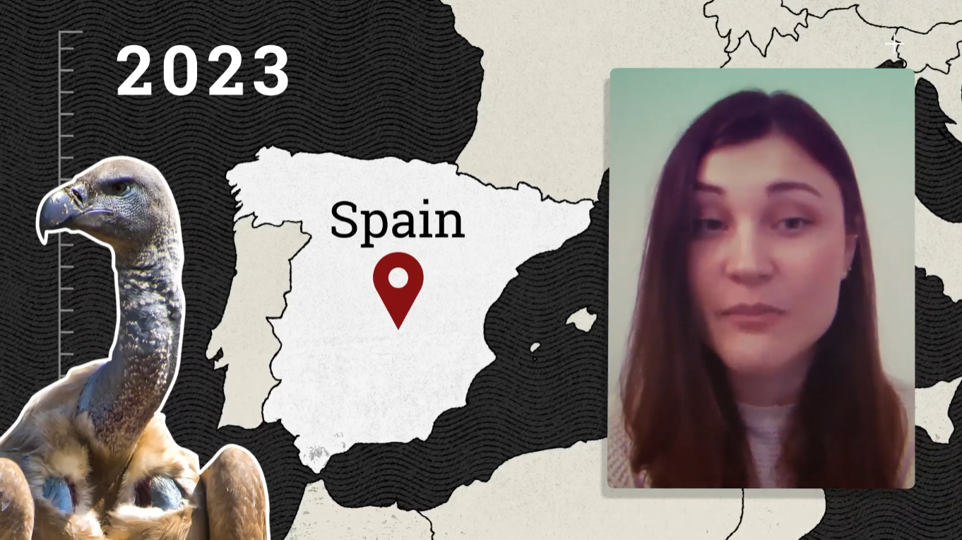 An illustration of a map showing Spain marked with a red location pin, the year 2023, and a testimonial-style portrait of a woman overlaid, with a griffon vulture cut out on the left edge.