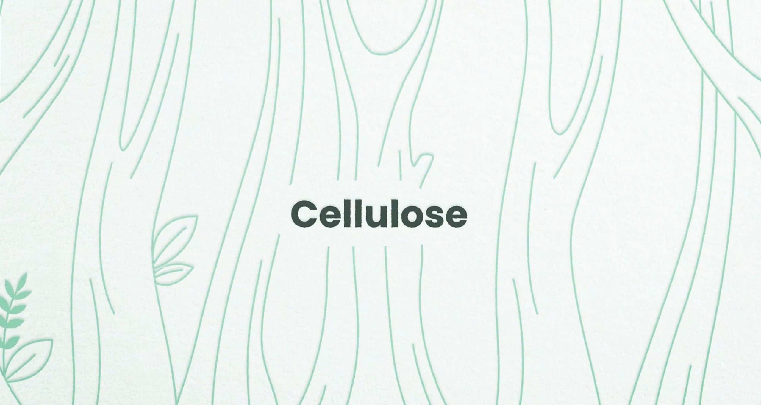 Illustration of wood texture alluding to where Pulpex comes from with the word cellulose on it