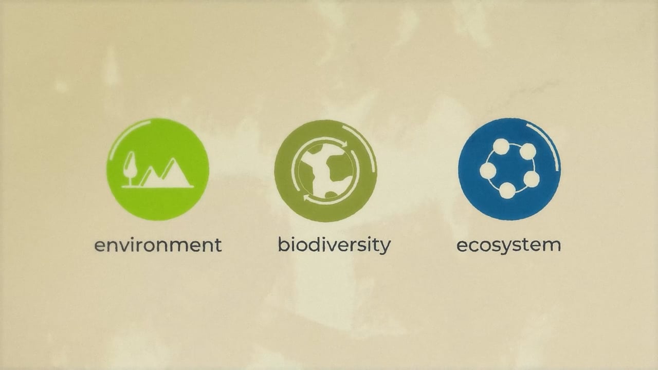 An illustration of a set of three icons, representing environment, biodiversity, and ecosystems.